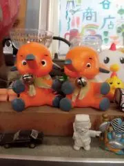 よっちゃんの画像
