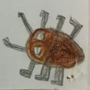ティミーの画像