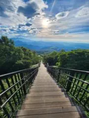 michi８００の画像