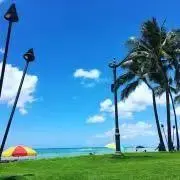coconut's shopの画像