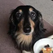 maxまーちゃん