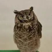 ぐずぐず