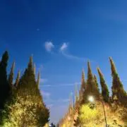 トヨタの画像