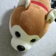 コッペkoppeの画像