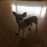 りりぃ
