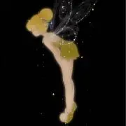 柚子の画像