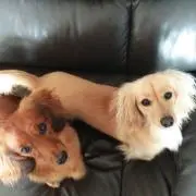 ちゅわ