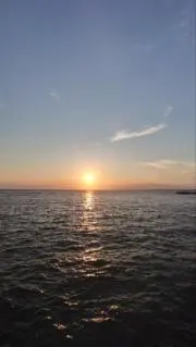 kofuyu ̄の画像