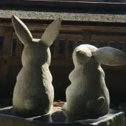 うさぎ