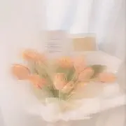 みぃの画像