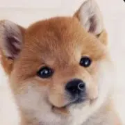 あああ