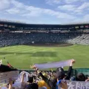 takasei