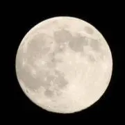 Wizardmanの画像
