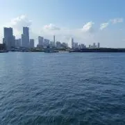 ゆみこの画像