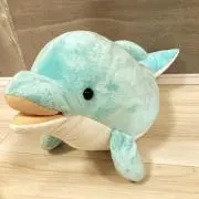 k.dolphinの画像
