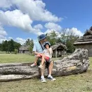 マルフジの画像
