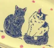 プラダの画像