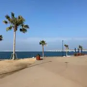 ta1001kaの画像
