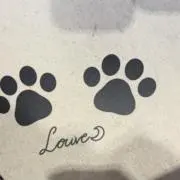 ぴの画像