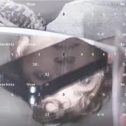 shuの画像