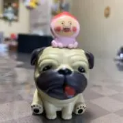 たんの画像