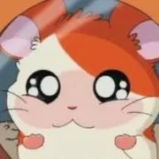 まるい
