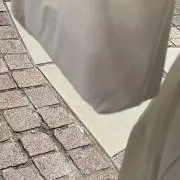 ぬぬよの画像