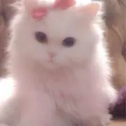 りの画像