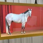 ユキッチの画像