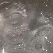 Ⓜ️購入前にコメントお願いします。の画像