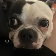 yuiの画像