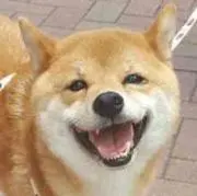 reiciy
