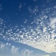 モカブレンドの画像