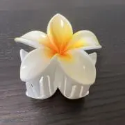 ももの画像