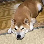 まさやんの画像