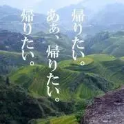 Yの画像