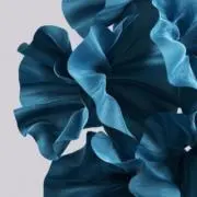 Lalaの画像