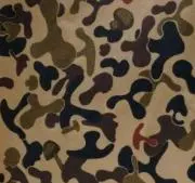 迷彩きのこの画像