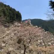 luko1999の画像