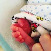 りんごちゃんの画像
