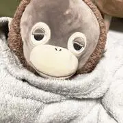 ajGwmdの画像