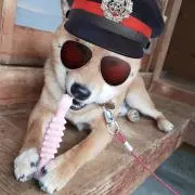 名花村。金土日限定セールの画像
