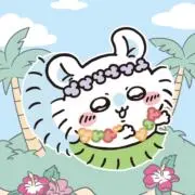 ちょこの画像