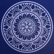 vinyl maniaの画像