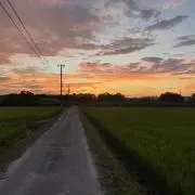 XYZの画像