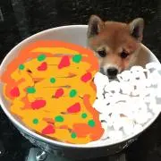 kiuoの画像