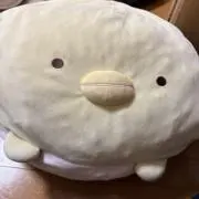 たろうたの画像