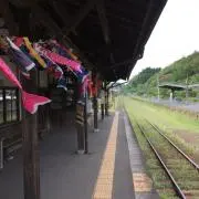 たひちの画像