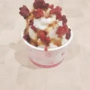 ハルの画像