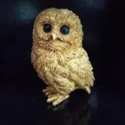 LiLiLiの画像